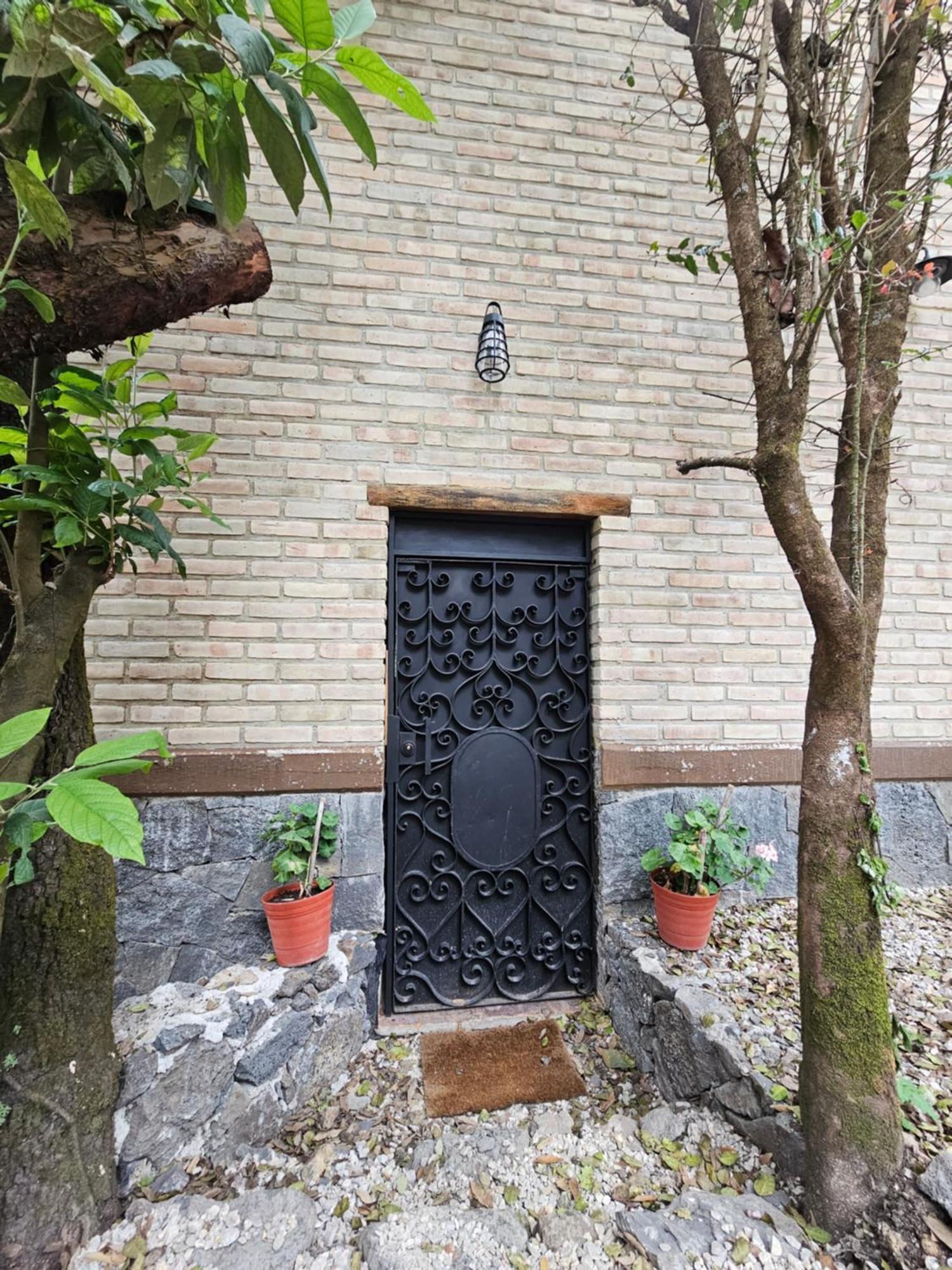 La Cabana Azul Al Fondo Del Bosque De Tepoztlan Exterior photo